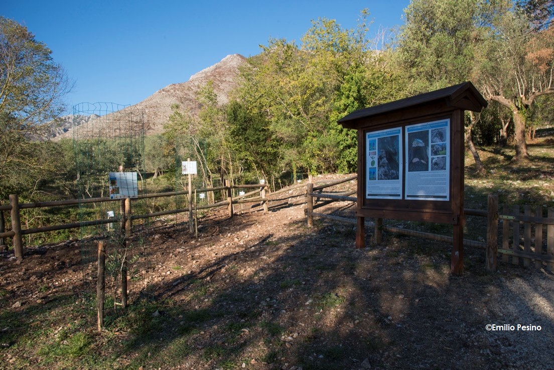 Giardino Patriarchi e aree attrezzate 3