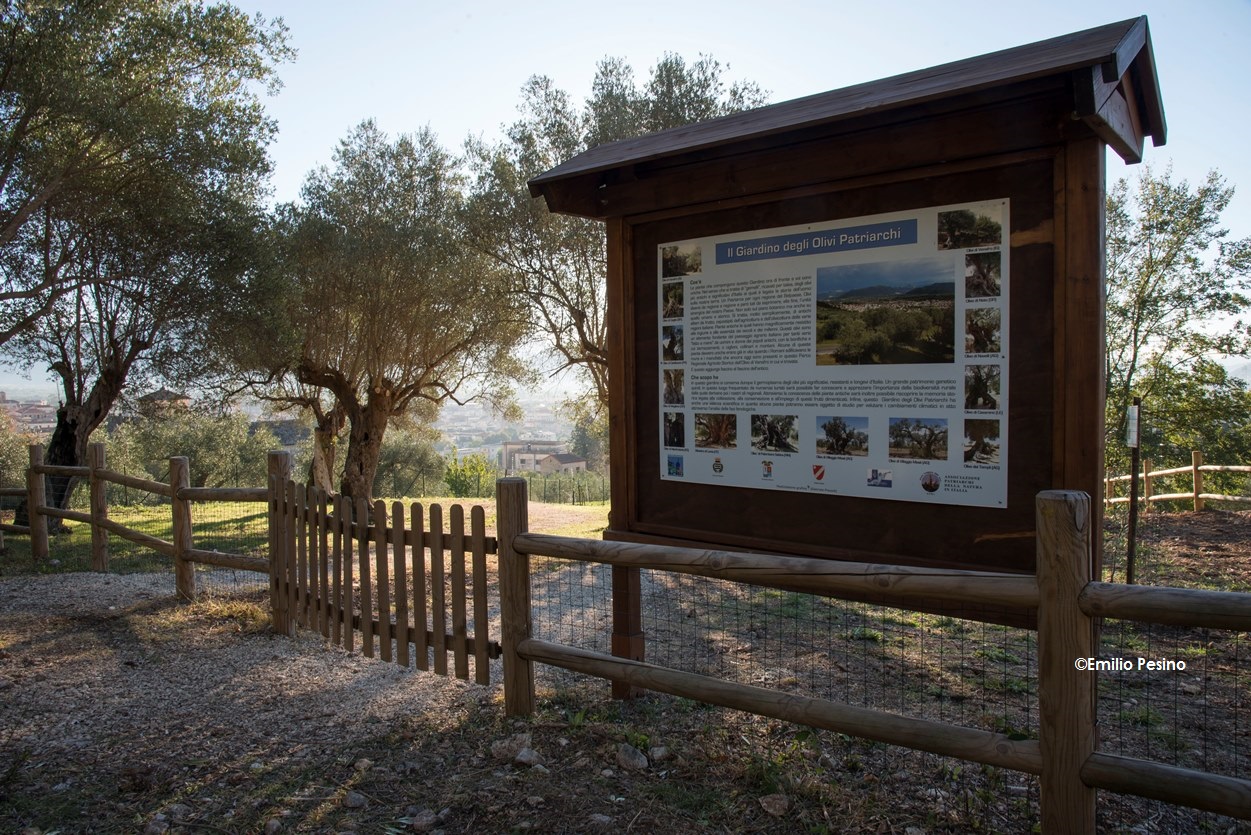 Giardino Patriarchi e aree attrezzate 4